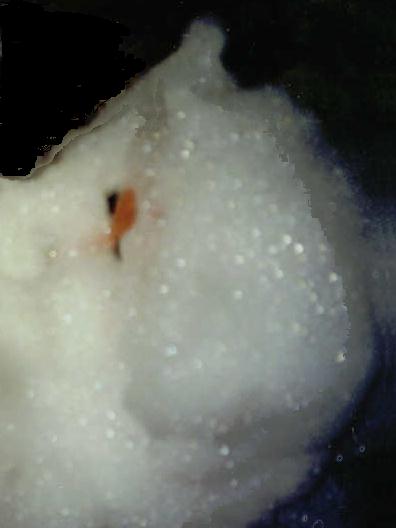 soapy2.jpg